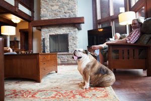 stone log cabin hearth english bulldog